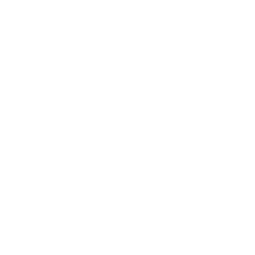 SenseBoil