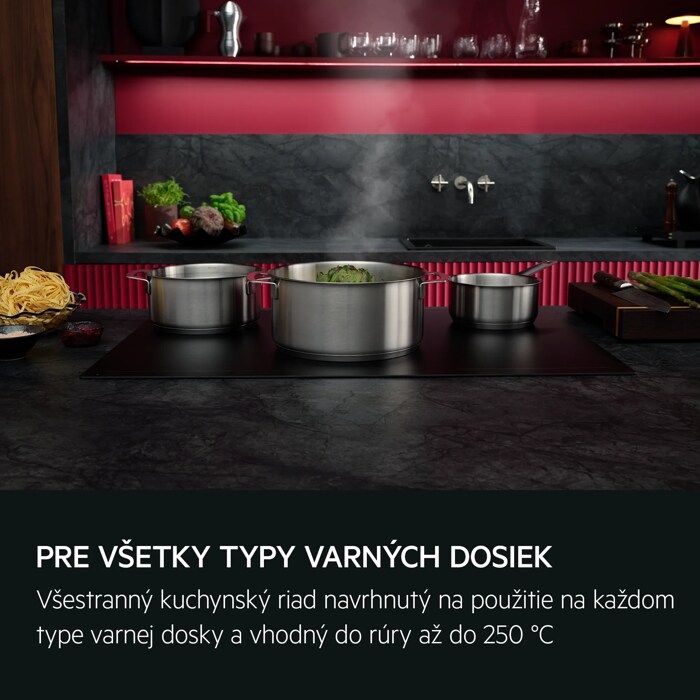 Pre všetky typy varných dosiek Všestranný kuchynský riad navrhnutý na použitie na každom type varnej dosky a vhodný do rúry až do 250 °C.