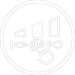 SenseFry