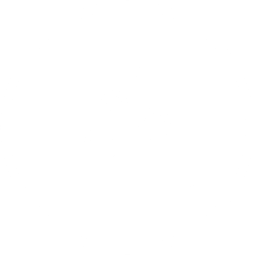 SenseBoil